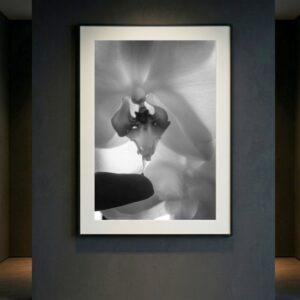 Petals of Liberation